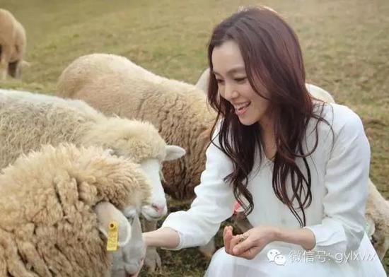 明星旅行糗事一籮筐 總有一個萌到你！