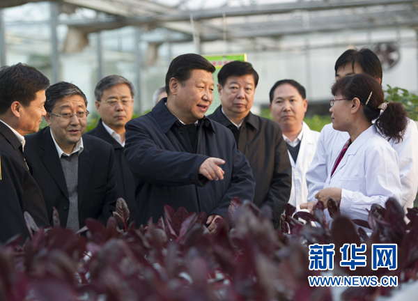  27日下午，習(xí)近平在山東省農(nóng)業(yè)科學(xué)院智能化溫室了解農(nóng)業(yè)科技創(chuàng)新情況。
