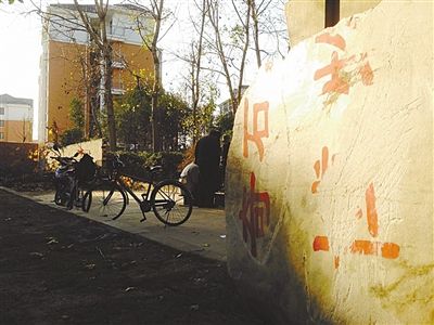 昨日，“上海奇石盆景博物館”原址上，已矗立起小區(qū)樓盤，而刻著博物館名的巨石，廢棄在一旁。本版圖片/新京報(bào)記者 張永生 攝