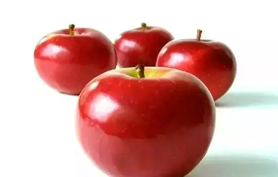 小心有毒！各種蔬果不能吃的部分