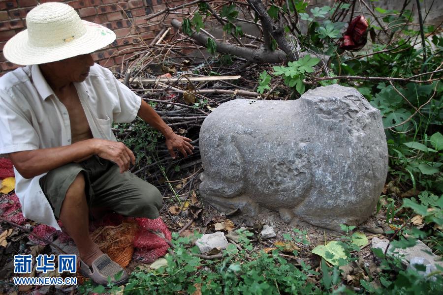 朝陽鎮(zhèn)后李村業(yè)余文保隊(duì)員，今年65歲的李連堂在上世紀(jì)平整土地時(shí)候，從地里挖出一個(gè)石羊殘身，至今仍放在