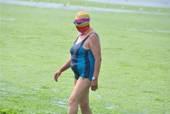 2013年7月3日，山東青島青島高溫來襲，“青島大媽”不懼滸苔，戴著“強盜面具”出現(xiàn)在海水浴場消暑降