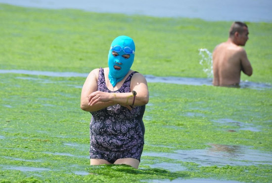 2013年7月3日，山東青島青島高溫來襲，“青島大媽”不懼滸苔，戴著“強盜面具”出現(xiàn)在海水浴場消暑降