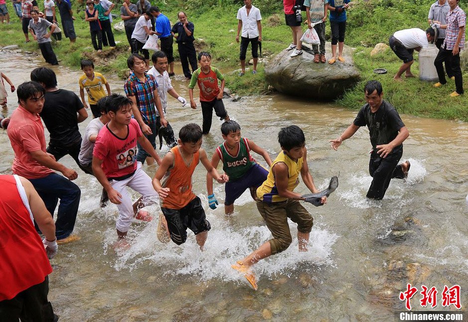 7月9日，村民在小河里摸魚(yú)搶魚(yú)。譚凱興 攝