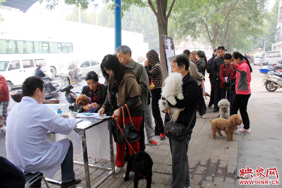 早上8點多，鄭州城市養(yǎng)犬金水區(qū)辦證點已經(jīng)排起了長隊