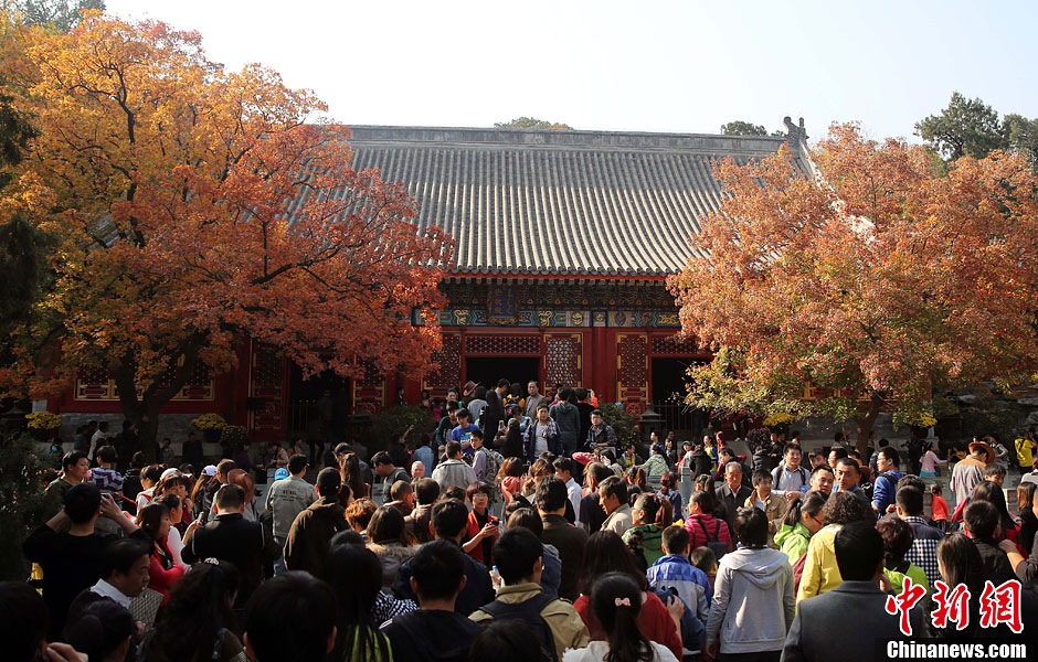 　10月26日，北京香山公園內(nèi)游客摩肩接踵。