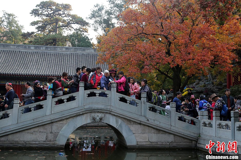 　10月26日，北京香山公園內(nèi)游客摩肩接踵。