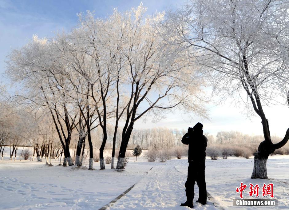 12月10日,受降溫天氣影響,黑河市黑龍江江畔出現(xiàn)綿延數(shù)公里的霧凇景觀。