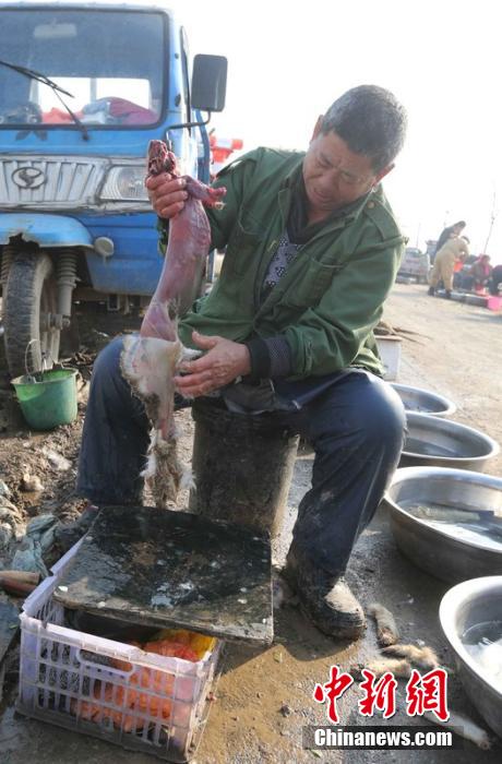 圖為12月1日，104國道靜?？h城附近，顧客挑好后，商販拎著死兔將皮完整地扒下來。田寶希 攝 圖片來