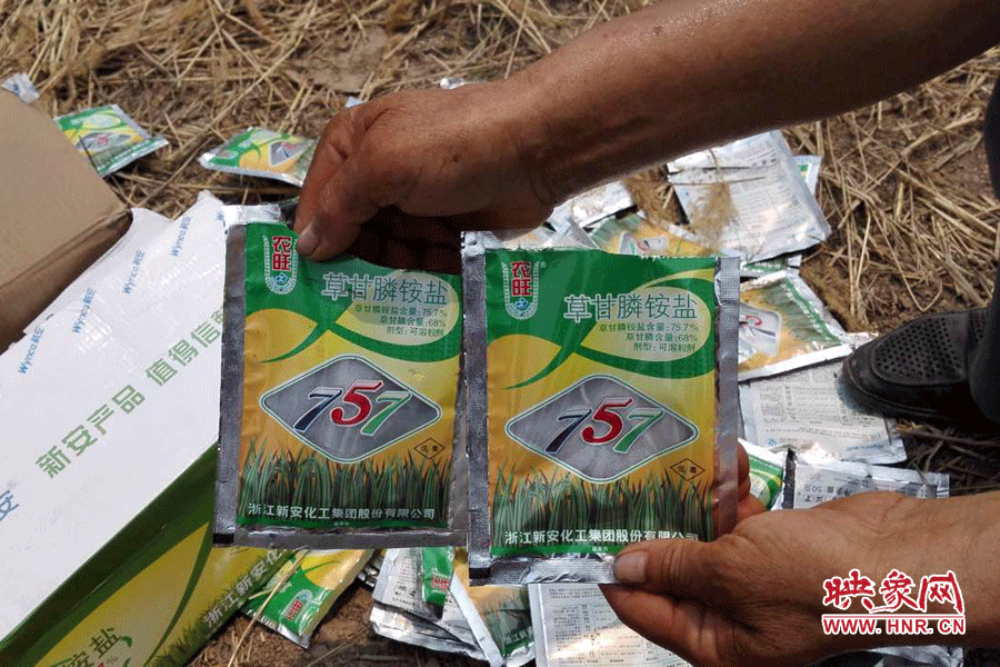 毀掉玉米的農(nóng)藥袋散落在地頭。