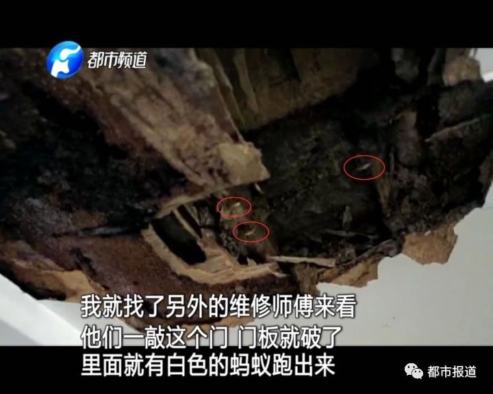蟻?zhàn)宕筌娙肭?！十幾萬(wàn)裝修的新家被“吃掉”