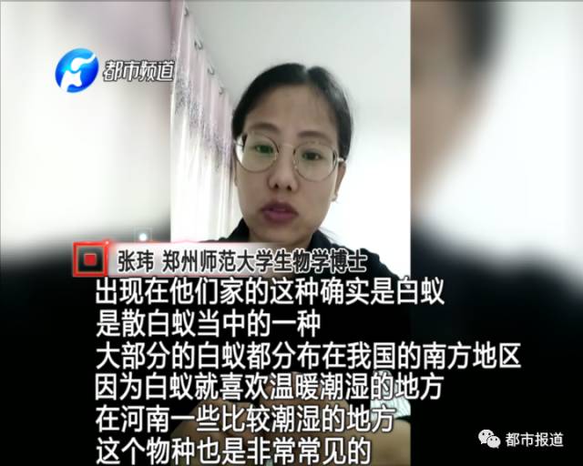 蟻?zhàn)宕筌娙肭?！十幾萬(wàn)裝修的新家被“吃掉”