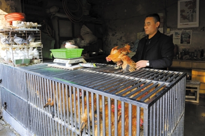 南京另一家農(nóng)貿(mào)市場(chǎng)內(nèi)待售的活雞。因南京出現(xiàn)H7N9禽流病例，買(mǎi)活雞的顧客減少。