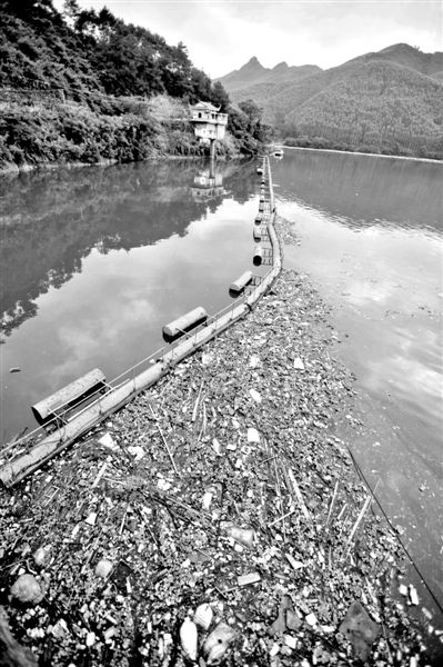 7月7日，廣西賀州市賀江合面獅段被污染的水域。據(jù)新華社