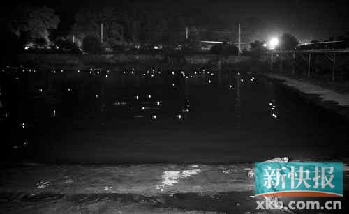 昨日，西湖村鱷魚養(yǎng)殖場已修復圍欄。