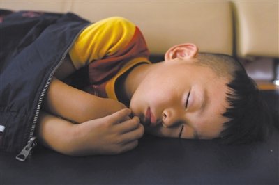 9月6日，等待錄制節(jié)目的多多躺在沙發(fā)上熟睡。新京報(bào)記者 侯少卿 攝