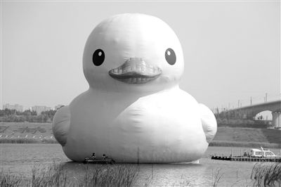 昨日，經(jīng)過連夜修正，大黃鴨的嘴部已恢復(fù)變寬，和在香港展出時看起來一樣。