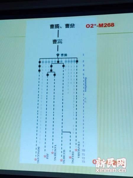 圖說(shuō)：復(fù)旦課題組發(fā)布曹操家族DNA研究結(jié)果。新民網(wǎng) 記者 李欣 攝