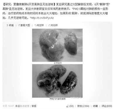 昨天，一則“霧霾使鮮肺6天變黑肺”的新聞在網(wǎng)上引發(fā)熱議。網(wǎng)絡(luò)截圖