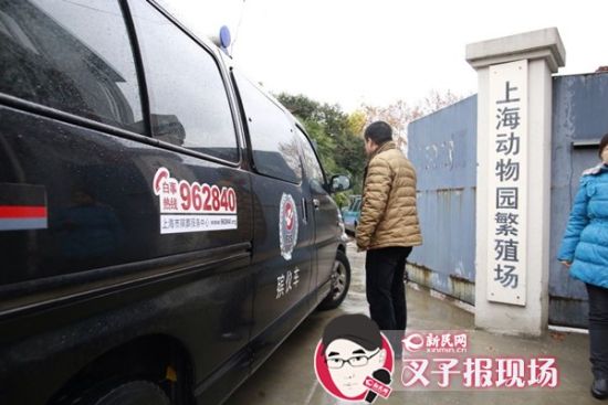 殯葬車到達(dá)現(xiàn)場(chǎng)。新民網(wǎng) 記者 蕭君瑋 攝