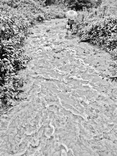 梅子回家的山道，晴天是路，雨天是河