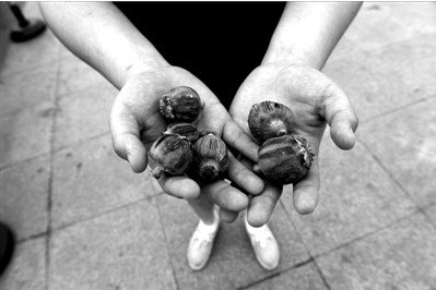 “大煙殼”輕易就可以買到。下圖：女?dāng)傊髂贸霾卦诩t色兜子里的“大煙殼”，向記者兜售。京華時(shí)報(bào)實(shí)習(xí)記者趙思衡攝