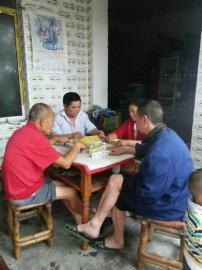 掃水掃不及，胥家鎮(zhèn)柏河村的居民干脆打起了麻將。