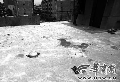 藏獒就養(yǎng)在這個樓頂，孩子從欄桿處墜落 本報記者 趙航 攝