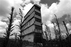 這幢5層的“片片樓”周圍已是一片拆遷后的廢墟，左邊的一堵墻上，不少鋼筋裸露在外面 圖片來(lái)源：新華網(wǎng)