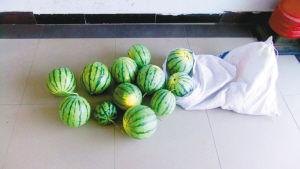 男子開價(jià)值30余萬(wàn)汽車偷西瓜 被捕后稱為尋刺激