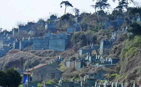 浙江紹興墓群為復(fù)綠遭刷綠漆 當(dāng)?shù)胤Q因難種樹 浙江紹興墓群為復(fù)綠遭刷綠漆 當(dāng)?shù)胤Q因難種樹