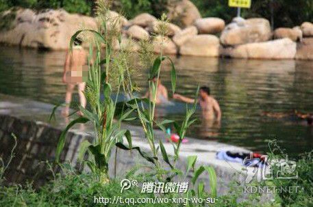 網(wǎng)友曝光的現(xiàn)場圖片。（圖片來自網(wǎng)絡(luò)）