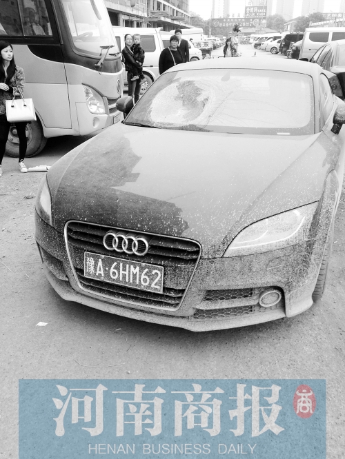 鄭州女子抱狗駕車(chē)撞人續(xù):肇事者歸案 曾在草叢躲一夜