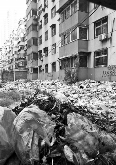 透過(guò)擋板縫向內(nèi)看，30多米垃圾已經(jīng)將居民樓包圍。