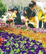 近距離才能拍得更真切。