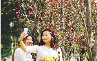 市民在公園與花合影。