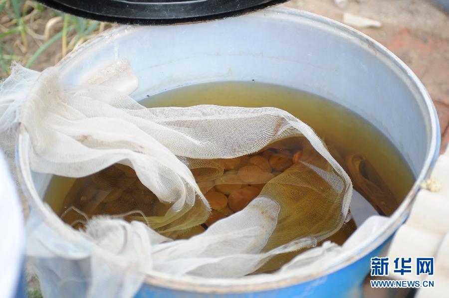 地下水成“綠茶”　污染二十多年該誰治？