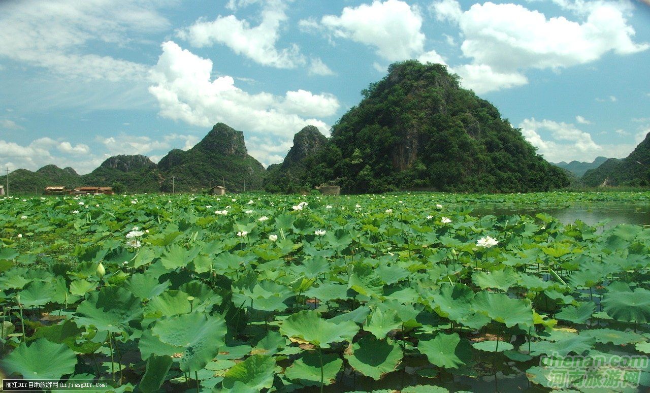爸爸去哪兒？親密接觸荷花仙子