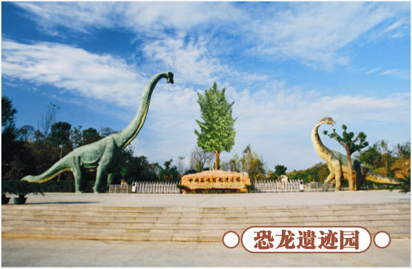 圣誕去哪兒？省內(nèi)歡樂(lè)地推薦