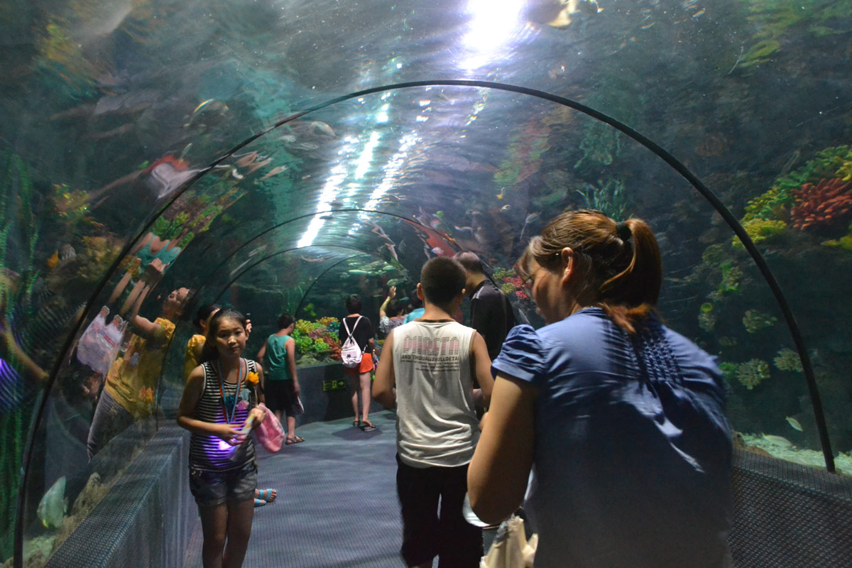 春節(jié)去哪兒？出游地圖告訴您！