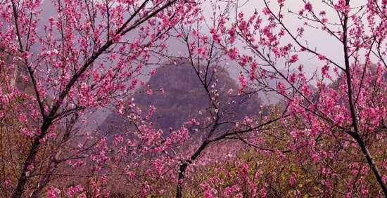撿垃圾換玫瑰 女人節(jié) 愛在神農(nóng)山！