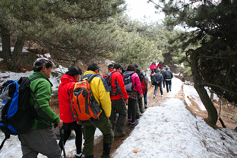 王莽嶺景區(qū)三八開(kāi)門紅 游人蜂涌而至