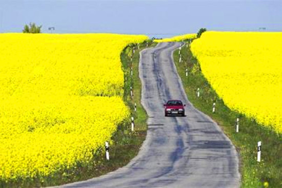 清明節(jié)自駕游避“陷阱”:超速壓線(xiàn)最易挨罰單