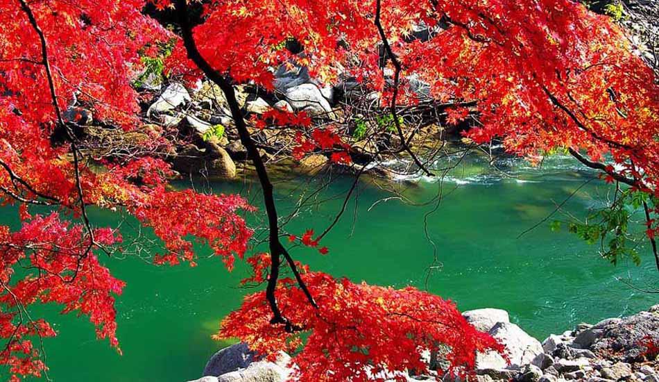 9月 與青天河景區(qū)來(lái)場(chǎng)約“惠”吧 9月 與青天河景區(qū)來(lái)場(chǎng)約“惠”吧