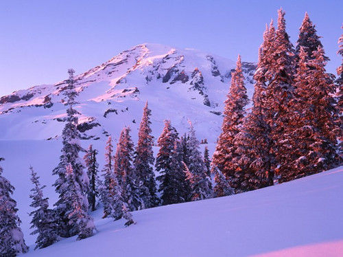 華盛頓，雷尼爾山