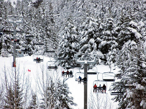 阿拉斯加，阿里耶斯卡