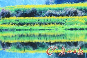 　　江嶺梯田落差不大,但有花有水。