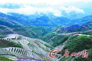 　　龍勝梯田大氣而立體。