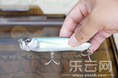 　　又稱擬餌釣魚(yú),起源于歐洲,國(guó)內(nèi)翻譯為“路亞”。