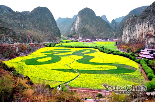 　　貴州油菜花景自以“立體多層,起伏跌宕”的油菜花景觀著稱。(圖片來源:CFP)